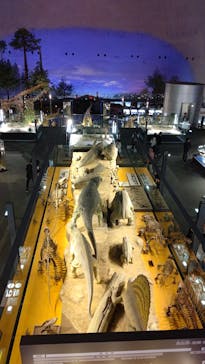 福井県立恐竜博物館に投稿された画像（2025/10/3）