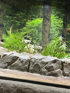 恩賜上野動物園に投稿された画像（2025/10/4）