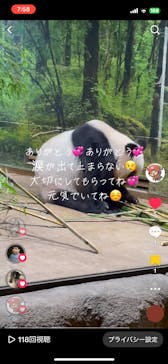 恩賜上野動物園に投稿された画像（2025/10/4）