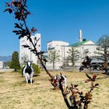 湯の華銭湯 瑞祥 松本館に投稿された画像（2025/10/4）