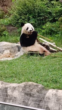 恩賜上野動物園に投稿された画像（2025/10/4）