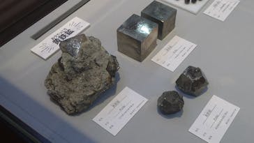 国立科学博物館に投稿された画像（2025/10/4）