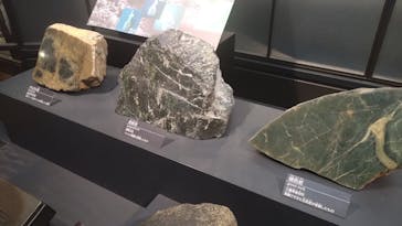 国立科学博物館に投稿された画像（2025/10/4）