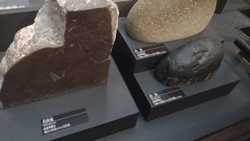 国立科学博物館に投稿された画像（2025/10/4）