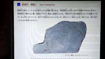 国立科学博物館に投稿された画像（2025/10/4）