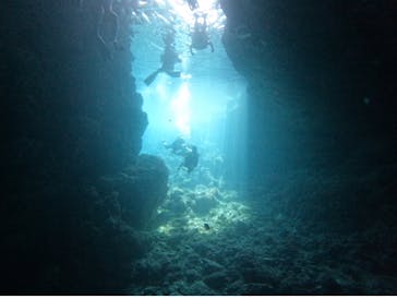 武藤潜水に投稿された画像（2025/10/4）