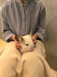 Moff animal cafe イオンモール幕張新都心店に投稿された画像（2025/10/4）