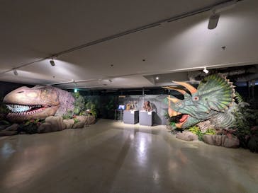 海洋堂ホビーランドに投稿された画像（2025/10/4）