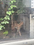 名古屋市東山動植物園に投稿された画像（2025/10/4）