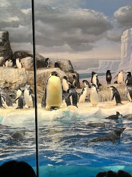名古屋港水族館に投稿された画像（2025/10/4）