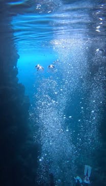 武藤潜水に投稿された画像（2025/10/4）