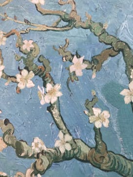 ゴッホ展　家族がつないだ画家の夢（東京都美術館）に投稿された画像（2025/10/4）