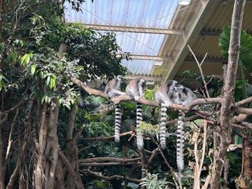 那須どうぶつ王国に投稿された画像（2025/10/4）