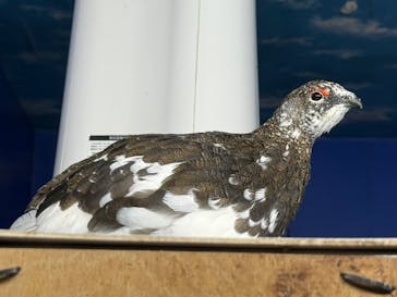 那須どうぶつ王国に投稿された画像（2025/10/4）