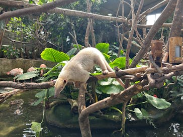 那須どうぶつ王国に投稿された画像（2025/10/4）