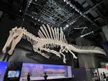 福井県立恐竜博物館に投稿された画像（2025/10/4）