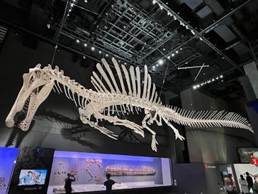 福井県立恐竜博物館に投稿された画像（2025/10/4）