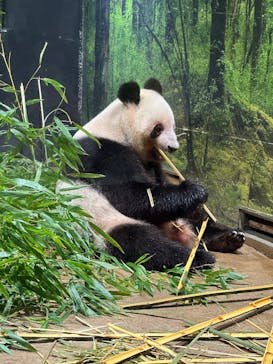 恩賜上野動物園に投稿された画像（2025/10/4）