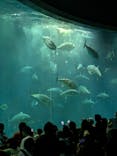 葛西臨海水族園に投稿された画像（2025/10/4）