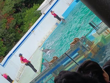 しながわ水族館に投稿された画像（2025/10/4）