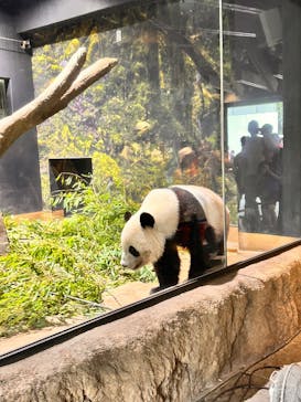 恩賜上野動物園に投稿された画像（2025/10/4）