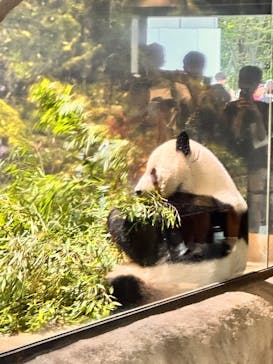 恩賜上野動物園に投稿された画像（2025/10/4）