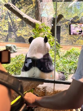 恩賜上野動物園に投稿された画像（2025/10/4）