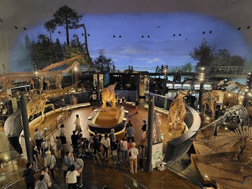 福井県立恐竜博物館に投稿された画像（2025/10/4）