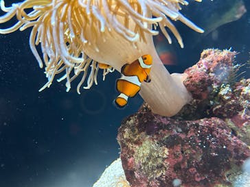 マリンワールド海の中道に投稿された画像（2025/10/4）