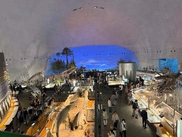 福井県立恐竜博物館に投稿された画像（2025/10/4）