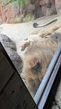 天王寺動物園に投稿された画像（2025/10/4）