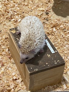 アニタッチPARKイオンモール太田に投稿された画像（2025/10/4）