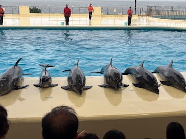 マリンワールド海の中道に投稿された画像（2025/10/4）