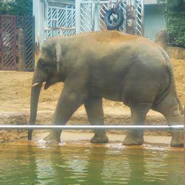 恩賜上野動物園に投稿された画像（2025/10/4）