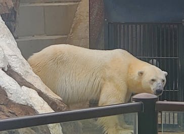 恩賜上野動物園に投稿された画像（2025/10/4）
