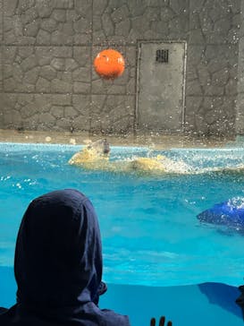 静岡市立日本平動物園に投稿された画像（2025/10/4）