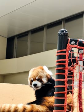 静岡市立日本平動物園に投稿された画像（2025/10/4）