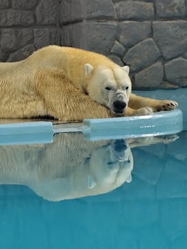 静岡市立日本平動物園に投稿された画像（2025/10/4）