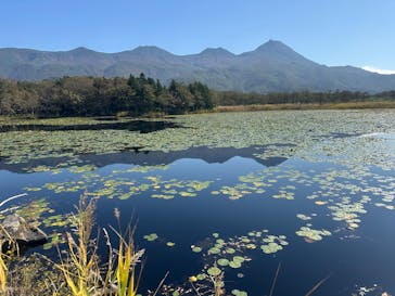 オホーツク自然堂に投稿された画像（2025/10/4）