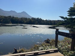 オホーツク自然堂に投稿された画像（2025/10/4）