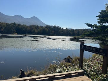 オホーツク自然堂に投稿された画像（2025/10/4）