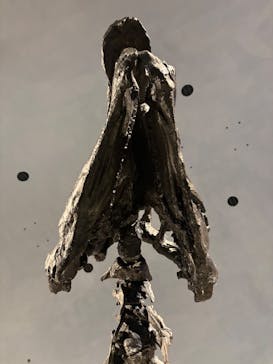 福井県立恐竜博物館に投稿された画像（2025/10/4）