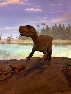 福井県立恐竜博物館に投稿された画像（2025/10/4）