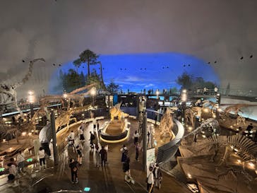 福井県立恐竜博物館に投稿された画像（2025/10/4）