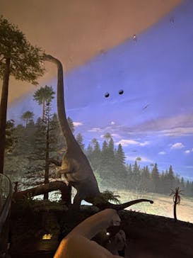 福井県立恐竜博物館に投稿された画像（2025/10/4）