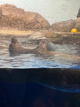 マクセル アクアパーク品川に投稿された画像（2025/10/4）