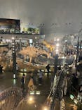 福井県立恐竜博物館に投稿された画像（2025/10/4）