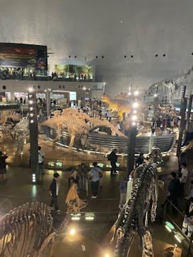 福井県立恐竜博物館に投稿された画像（2025/10/4）