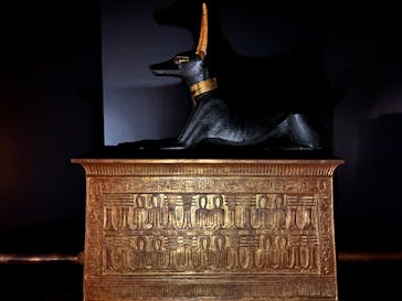 MYSTERY OF TUTANKHAMEN 体感型古代エジプト展に投稿された画像（2025/10/4）