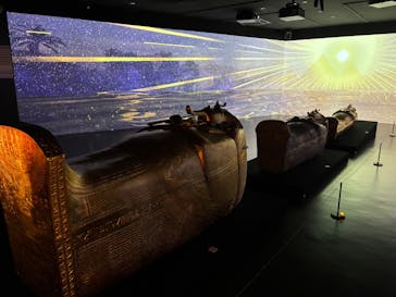 MYSTERY OF TUTANKHAMEN 体感型古代エジプト展に投稿された画像（2025/10/4）
